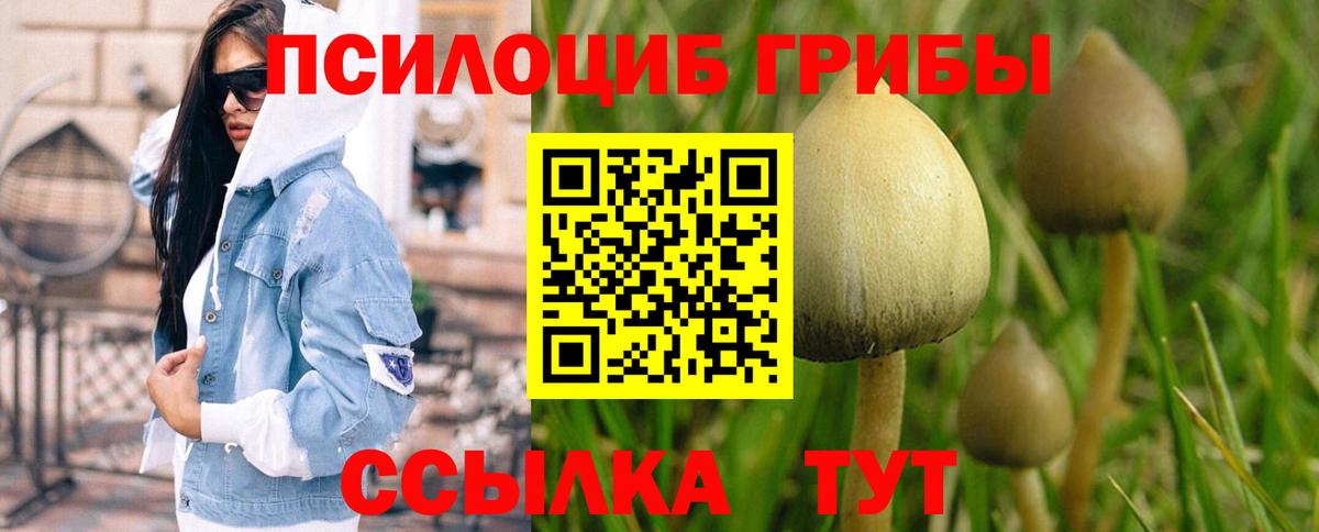 Псилоцибиновые грибы мухоморы  Вход с VPN  Чехов 